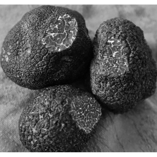 Comment bien conserver des truffes fraiches ?